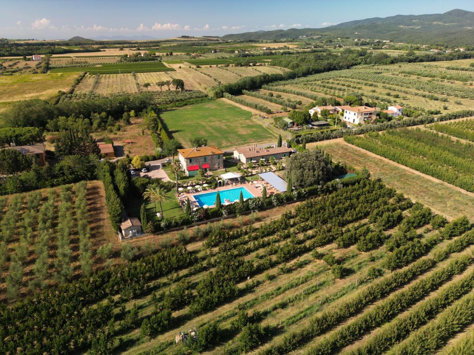 Podere Gli Olmi Cecina  Eksteriør bilde