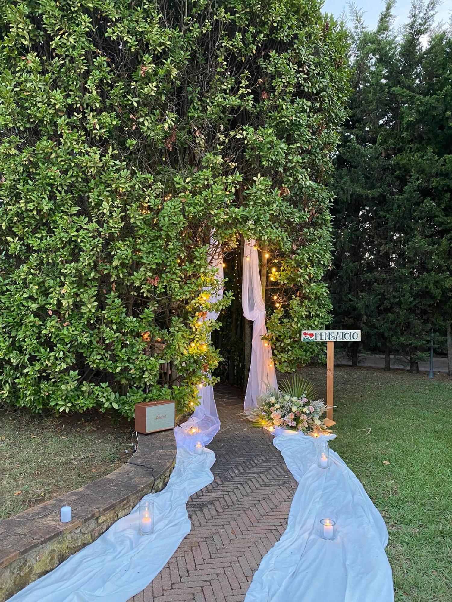 Podere Gli Olmi Cecina  Eksteriør bilde